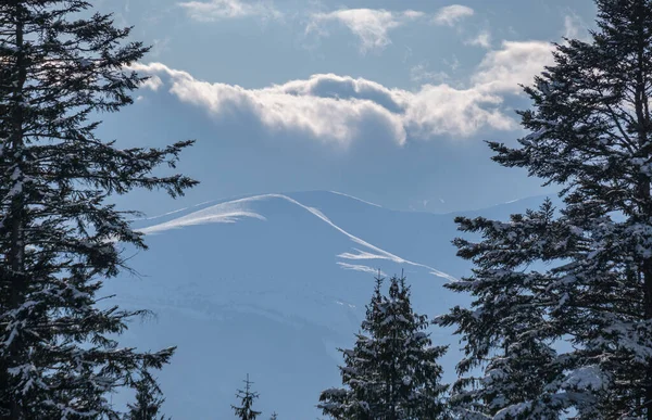 Winterabgelegene Alpine Bergdörfer Rande Hügel Auf Dem Land Wälder Und — Stockfoto