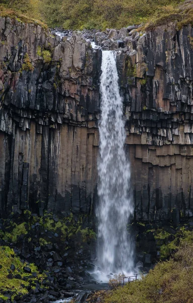 Picturesque Waterfall Svartifoss Ісландський Чорний Водоспад Оточений Темно Лавовими Базальтовими — стокове фото