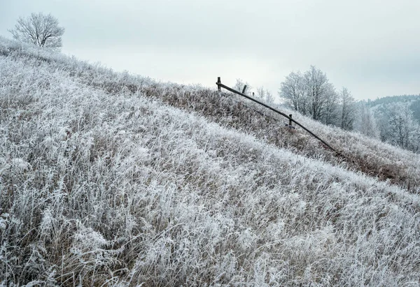 Kış Geliyor Sonbaharın Sonlarına Doğru Çimlerde Ağaçlarda Yamaçlarda Kırağı Olan — Stok fotoğraf