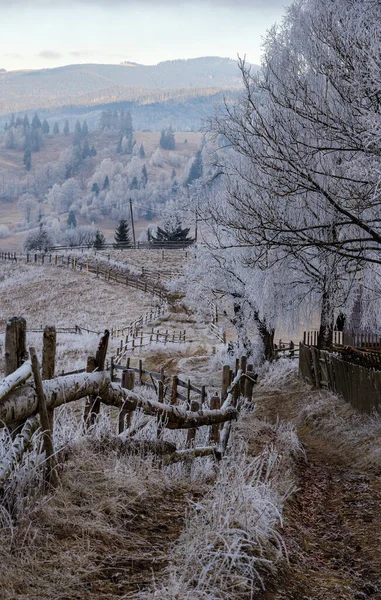 Inverno Está Chegar Últimos Dias Outono Manhã Paisagem Montanhosa Cena — Fotografia de Stock