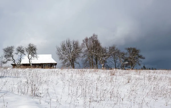 冬季偏远高山村郊 乡村小山 小林和农田 — 图库照片