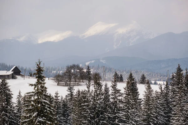 Kış Uzak Dağlık Dağ Köyü Kırsal Tepeler Ağaçlar Tarım Arazileri — Stok fotoğraf
