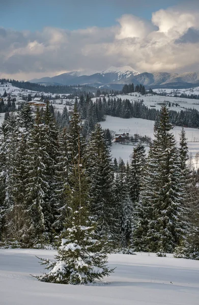 Inverno Remoto Villaggio Alpino Periferia Colline Campagna Boschetti Terreni Agricoli — Foto Stock