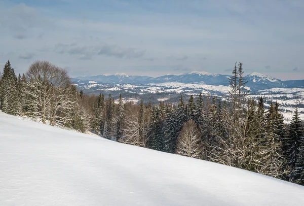 Inverno Remoto Villaggio Alpino Periferia Colline Campagna Boschetti Terreni Agricoli — Foto Stock
