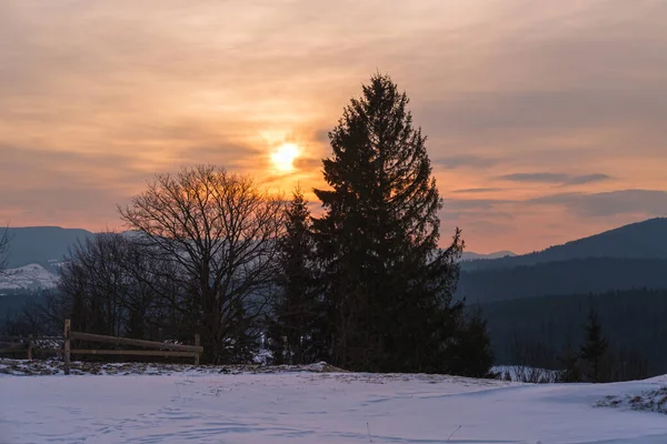 Pequeño Pueblo Alpino Montañas Nevadas Invierno Primer Amanecer Luz Del — Foto de Stock