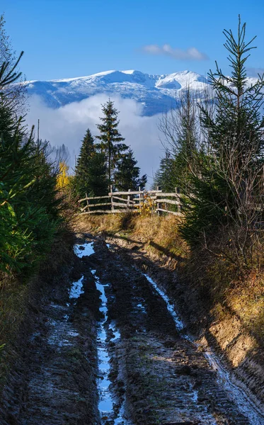 Mistige Herfst Berg Ochtend Scène Vreedzaam Pittoresk Reizen Seizoensgebonden Natuur — Stockfoto