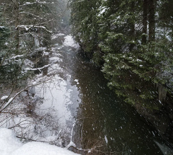 Paesaggio Invernale Con Nevicate Torrente Montagna Che Attraversa Pittoresca Foresta — Foto Stock