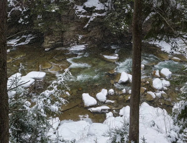 Paesaggio Invernale Con Nevicate Torrente Montagna Che Attraversa Pittoresca Foresta — Foto Stock