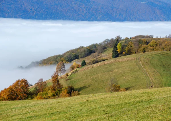 Ochtend Mistige Wolken Herfst Berglandschap Oekraïne Karpaten Transcarpathie Vreedzaam Pittoresk — Stockfoto