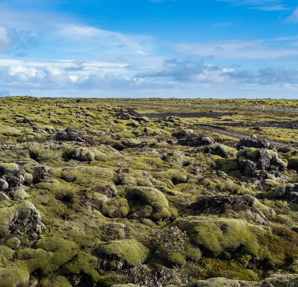 Scenic Herfst Groene Lava Velden Buurt Van Fjadrargljufur Canyon Ijsland — Stockfoto