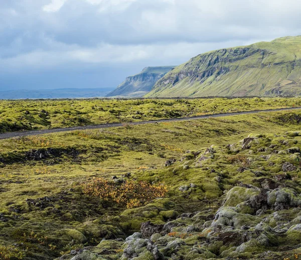 아이슬란드의 파자드 근처에 가을의 지대가 보인다 화산암 녹색이끼 형성되는 — 스톡 사진