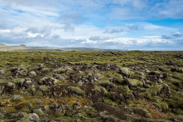 Scenic Őszi Zöld Lávamezők Közelében Fjadrargljufur Canyon Izlandon Zöld Moha — Stock Fotó