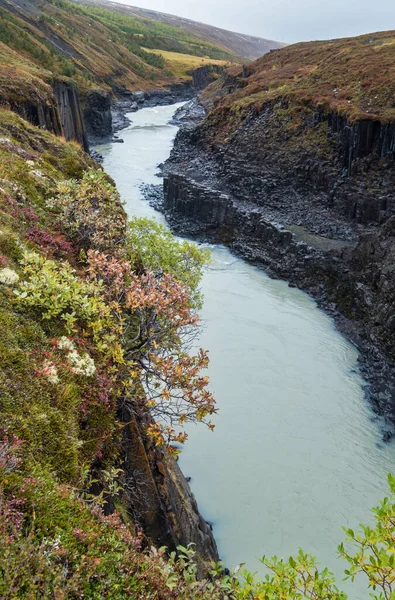 Autumn Picturesque Studlagil Canyon Ravine Jokuldalur Eastern Iceland Famous Columnar — Stock Photo, Image