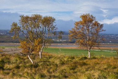 Kuzey İzlanda 'daki otomobil gezisi sırasında güzel bir dağ manzarası. Manzaralı İzlanda manzarası: dağlar, tarlalar, bulutlar, buzullar, kayalar, ağaçlar.