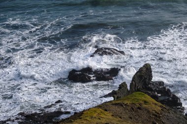 İzlanda 'da otomobil gezisi sırasında görüntüle. Manzaralı İzlanda manzarası: Okyanus kıyısı.