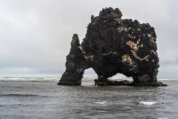 Éléphant Buveur Rhinocéros Pile Basalte Hvitserkur Long Côte Orientale Péninsule — Photo