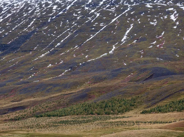 アイスランドでの自動車旅行中に美しい山の景色 風光明媚な自然と壮大なアイスランドの風景 フィールド — ストック写真