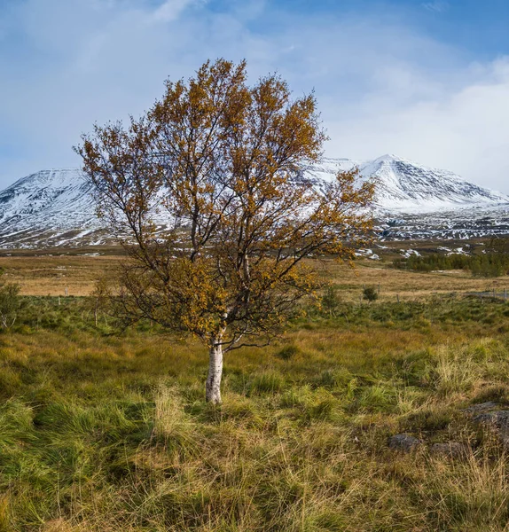 Bela Vista Para Montanha Durante Viagem Automóvel Norte Islândia Espetacular — Fotografia de Stock