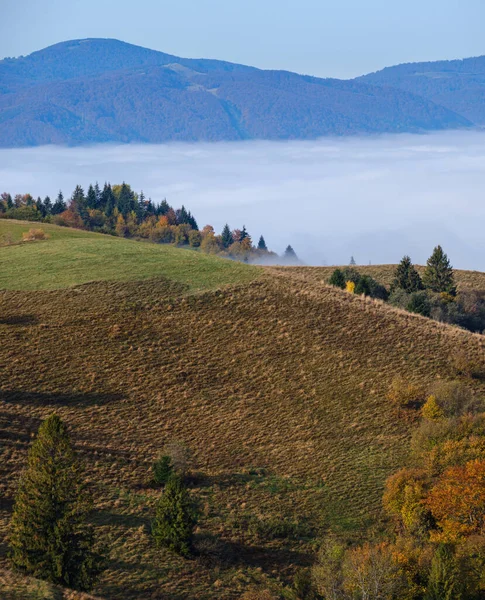 Morgondimmiga Moln Höstens Fjällbygd Ukraina Karpaterna Transcarpathia Fridfull Pittoresk Resa — Stockfoto