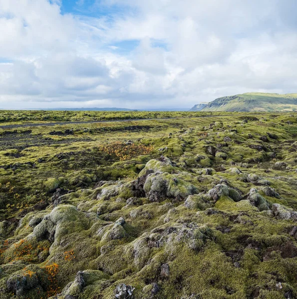 Escénicos Campos Lava Verde Otoñal Cerca Del Cañón Fjadrargljufur Islandia — Foto de Stock