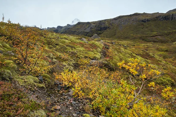 아름다운 풍경이 협곡에서 아이슬란드 석호가 빙하에 이르기까지 펼쳐져 로드에서 그리멀지 — 스톡 사진