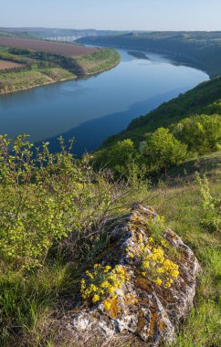 Dnister Nehri Kanyonu 'nun muhteşem bahar manzarası. Resimli kayalar, tarlalar, çiçekler. Shyshkovi Gorby, Nahoriany, Chernivtsi bölgesi, Ukrayna.