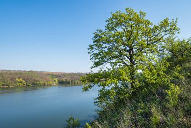 Dnister Nehri Kanyonu 'nun muhteşem bahar manzarası. Resimli kayalar, tarlalar, çiçekler. Shyshkovi Gorby, Nahoriany, Chernivtsi bölgesi, Ukrayna.