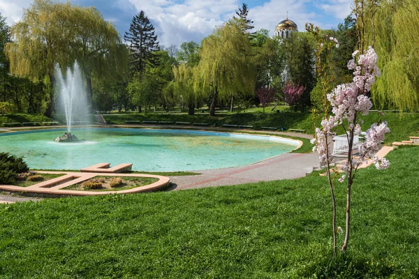 Kamianets Podilskyi Khmelnytsky Region Ukraine Beautiful Spring City Park Blossoming — Stock Photo, Image