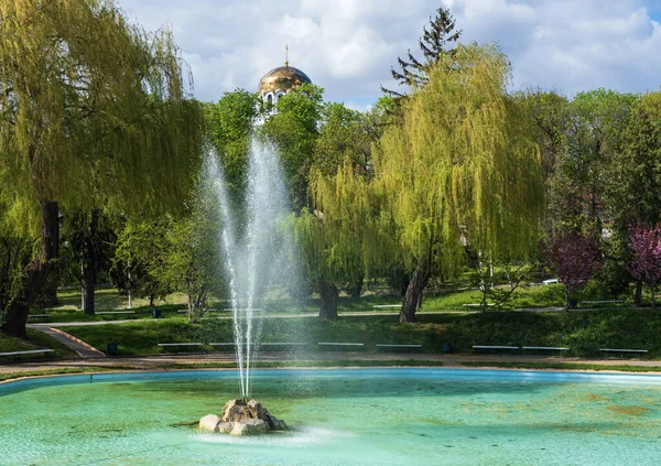 Kamjanez Podilskyj Gebiet Chmelnizki Ukraine Schöner Frühlingshafter Stadtpark Mit Blühendem — Stockfoto