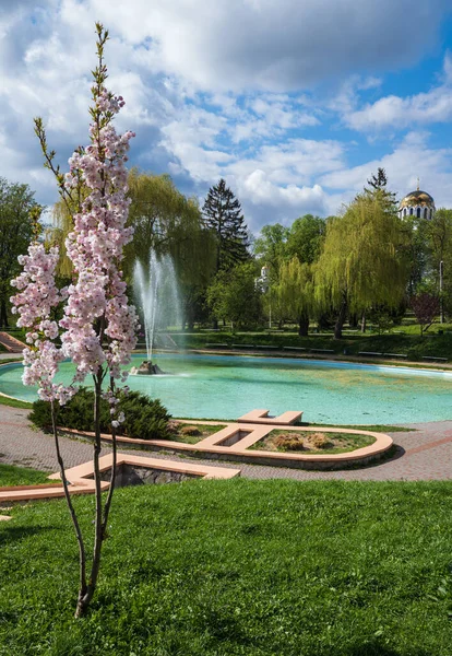 Kamianets Podilskyi Khmelnytsky Region Ukraine Beautiful Spring City Park Blossoming — Stock Photo, Image