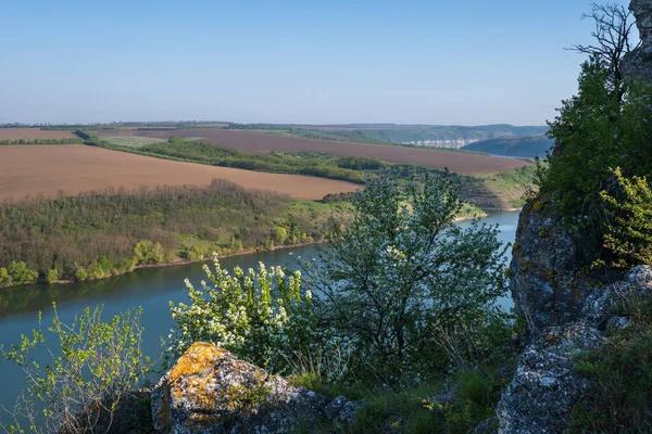 Fantastisk Vårutsikt Dnister River Canyon Med Pittoreska Stenar Fält Blommor — Stockfoto