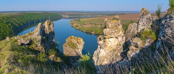 ロシアの侵略なしでウクライナ 絵のように美しい岩 フィールド 花とディンスター川キャニオンの素晴らしい春の景色 この場所はShysshkov Gorby Nahoriany Chernivtsi地域 ウクライナ — ストック写真