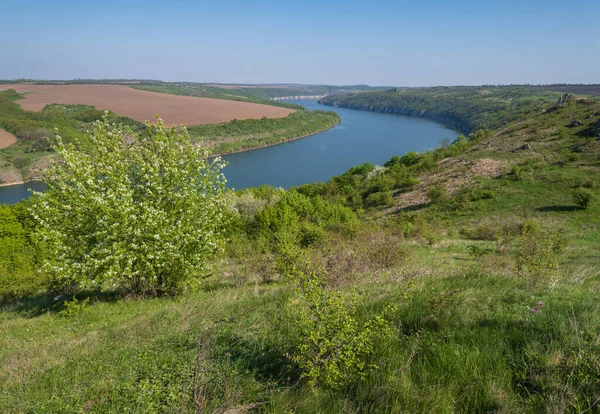 德涅斯特河峡谷上美丽的春景 花朵如画 这个地方叫Shyshkovi Gorby Nahoriany Chernivtsi Region Ukraine — 图库照片