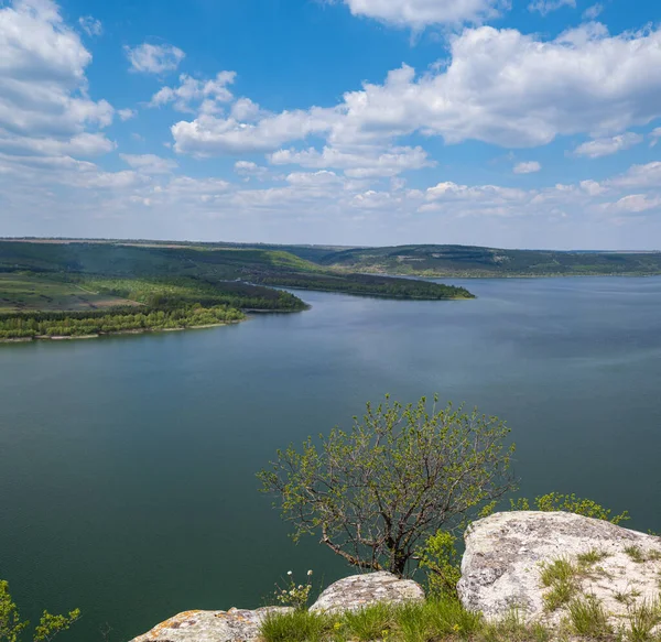 Dnister Nehri Kanyonu Bakota Körfezi Chernivtsi Bölgesi Ukrayna — Stok fotoğraf