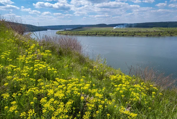 Dnister Nehri Kanyonu Bakota Körfezi Chernivtsi Bölgesi Ukrayna — Stok fotoğraf