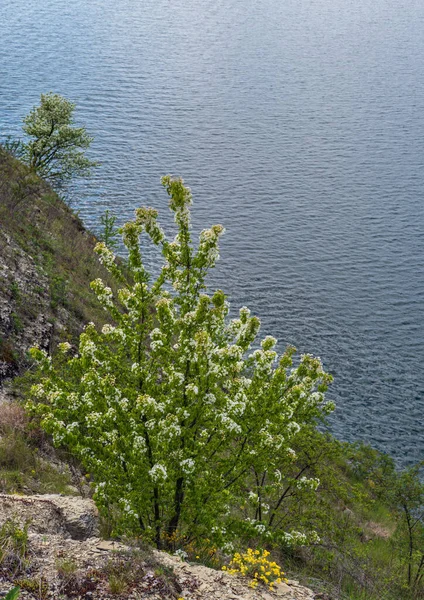 Geweldig Voorjaarsuitzicht Dnister River Canyon Bakota Bay Chernivtsi Regio Oekraïne — Stockfoto