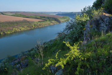 Dnister Nehri Kanyonu 'nun muhteşem bahar manzarası. Resimli kayalar, tarlalar, çiçekler. Shyshkovi Gorby, Nahoriany, Chernivtsi bölgesi, Ukrayna.