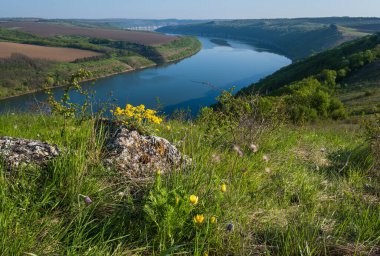 Dnister Nehri Kanyonu 'nun muhteşem bahar manzarası. Resimli kayalar, tarlalar, çiçekler. Shyshkovi Gorby, Nahoriany, Chernivtsi bölgesi, Ukrayna.