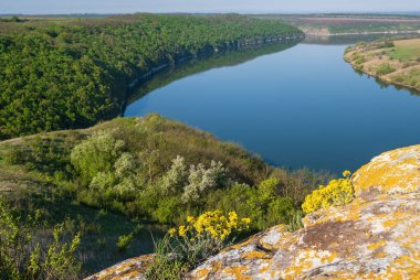 Dnister Nehri Kanyonu 'nun muhteşem bahar manzarası. Resimli kayalar, tarlalar, çiçekler. Shyshkovi Gorby, Nahoriany, Chernivtsi bölgesi, Ukrayna.