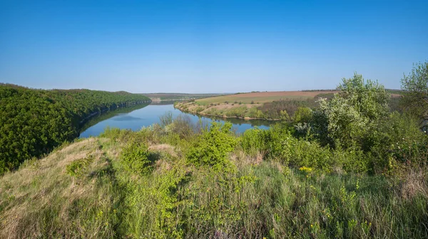 Fantastisk Vårutsikt Dnister River Canyon Med Pittoreska Stenar Fält Blommor — Stockfoto