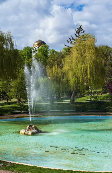 Kamianets Podilskyi Khmelnytsky Bölgesi Ukrayna Çeşmenin Yanında Çiçek Açan Sakura — Stok fotoğraf