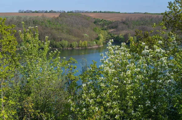 Dnister Nehri Kanyonu Nun Muhteşem Bahar Manzarası Resimli Kayalar Tarlalar — Stok fotoğraf