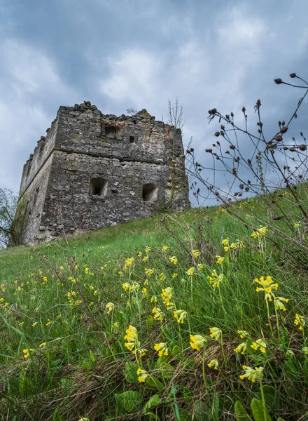 Rovine Vecchio Castello Secolo Villaggio Sutkivtsi Regione Khmelnytsky Ucraina — Foto Stock