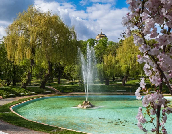 Kamjanez Podilskyj Gebiet Chmelnizki Ukraine Schöner Frühlingshafter Stadtpark Mit Blühendem — Stockfoto