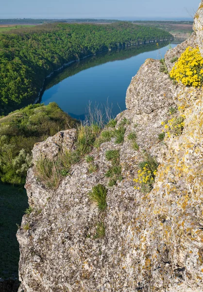 Fantastisk Vårutsikt Dnister River Canyon Med Pittoreska Stenar Fält Blommor — Stockfoto