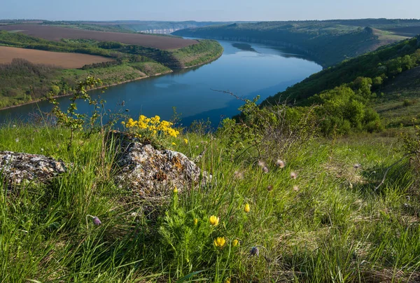 Úžasný Jarní Pohled Dnister River Canyon Malebnými Skalami Poli Květinami — Stock fotografie