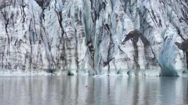 Solheimajokull Güney Zlanda Resimli Bir Buzuldur Buzulun Dili Katla Volkanından — Stok video