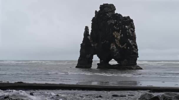 飲料象やサイ 玄武岩スタックHvitserkur Vatnsnes半島の東海岸に沿って アイスランド北西部 玄武岩と15メートルの高さから作られた素晴らしい岩の構造 — ストック動画