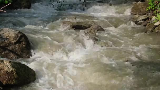 Fullt Strömmande Bergsflod Karpaterna Efter Kraftigt Sommarregn — Stockvideo