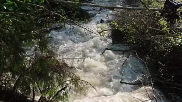 Πλήρης Ροή Του Ποταμού Βουνό Στα Καρπάθια Μετά Από Έντονη — Αρχείο Βίντεο